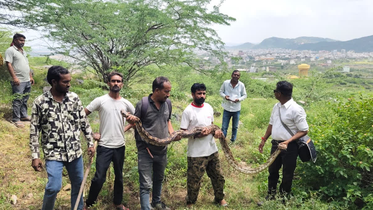 Rescue team members holding a python