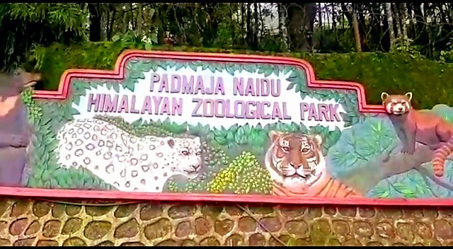 SNOW LEOPARD GENETIC CRISIS