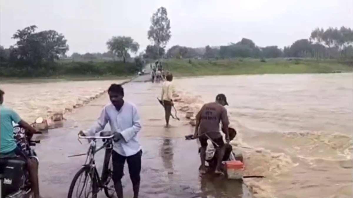shahdol bansagar dam gates opened
