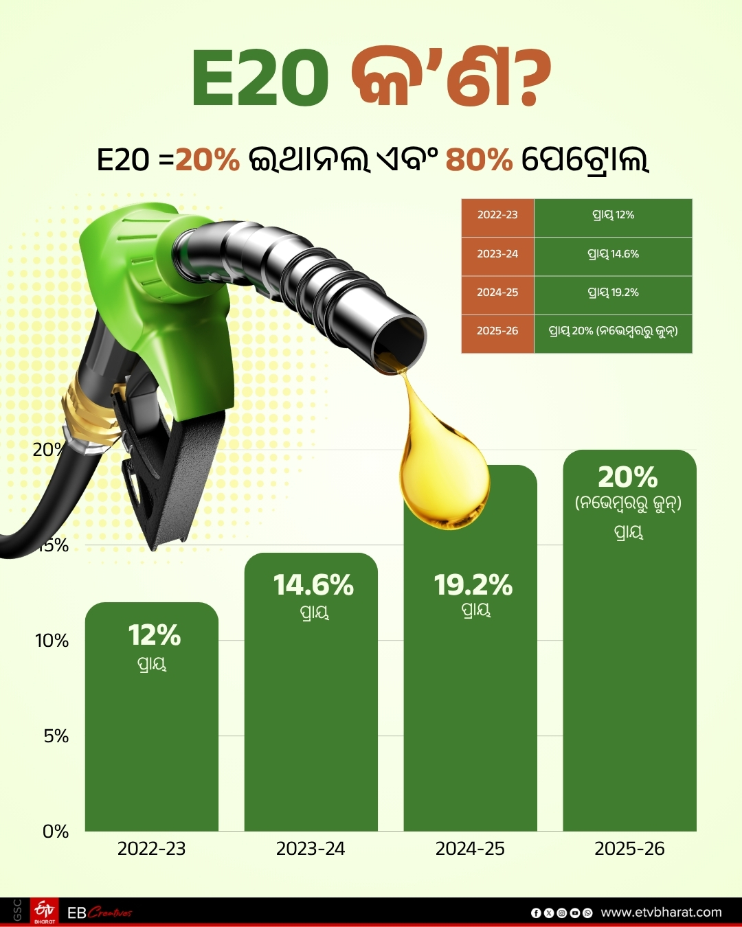 E20 Fuel
