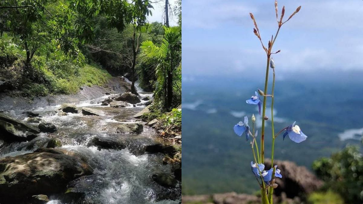 KERALA TOURISM HIDDEN SPOTS  THATTEKKAD BIRD SANCTUARY  KASARAGOD TEJASWINI RIVER  THE BACKWATERS OF MALABAR