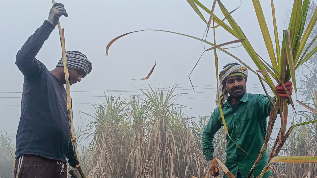How cost-effective is the ethanol blending