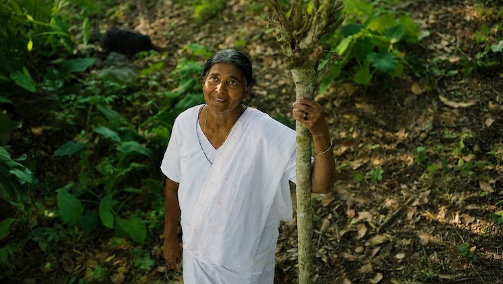 Dileesh Pothan, Pauly Valsan's Chevittorma Selected For Busan International Film Festival