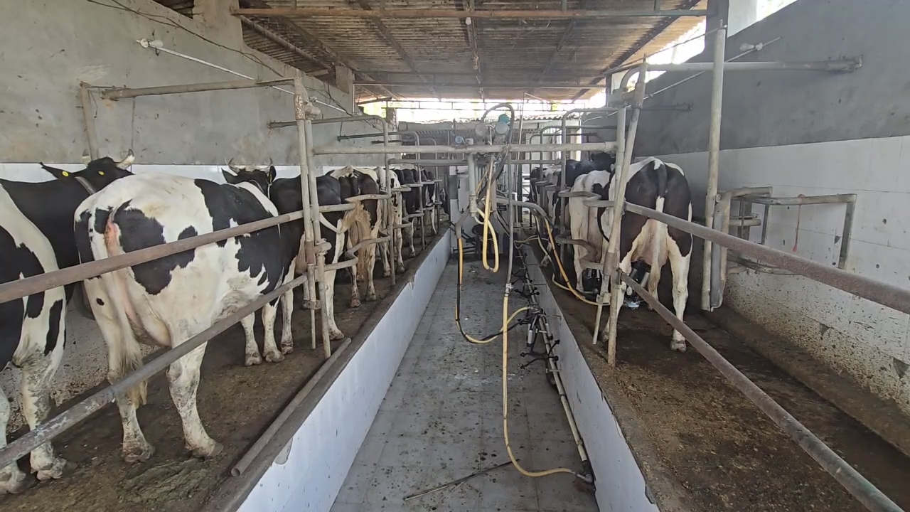 MILK PRICE HIKE