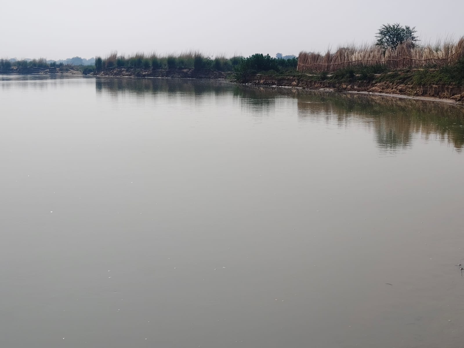 Sone River Water level increase in Palamu high alert issued