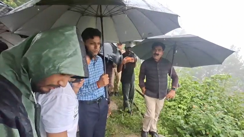 Tin shed collapses