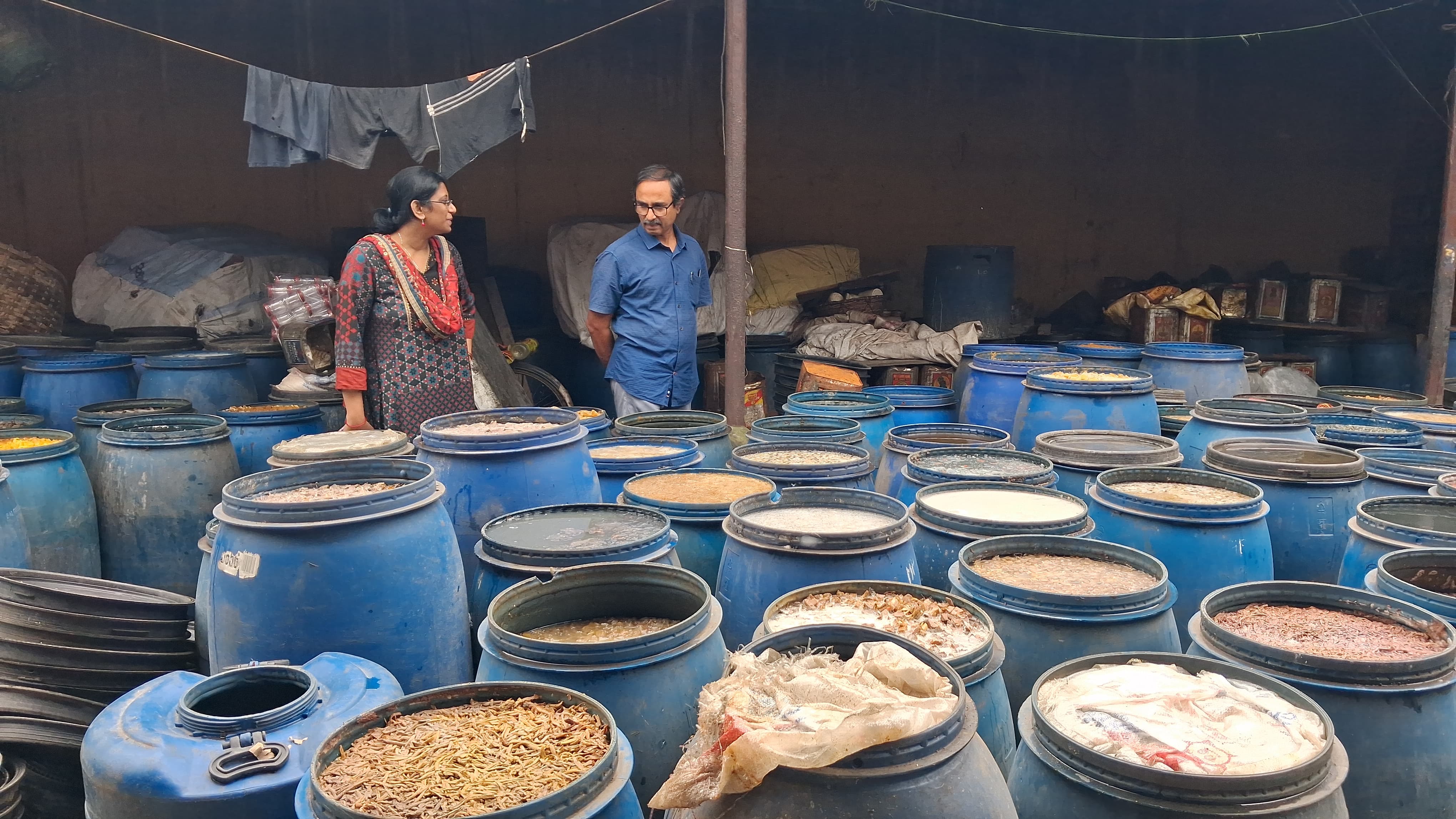 Scorpions and insects found in morabba