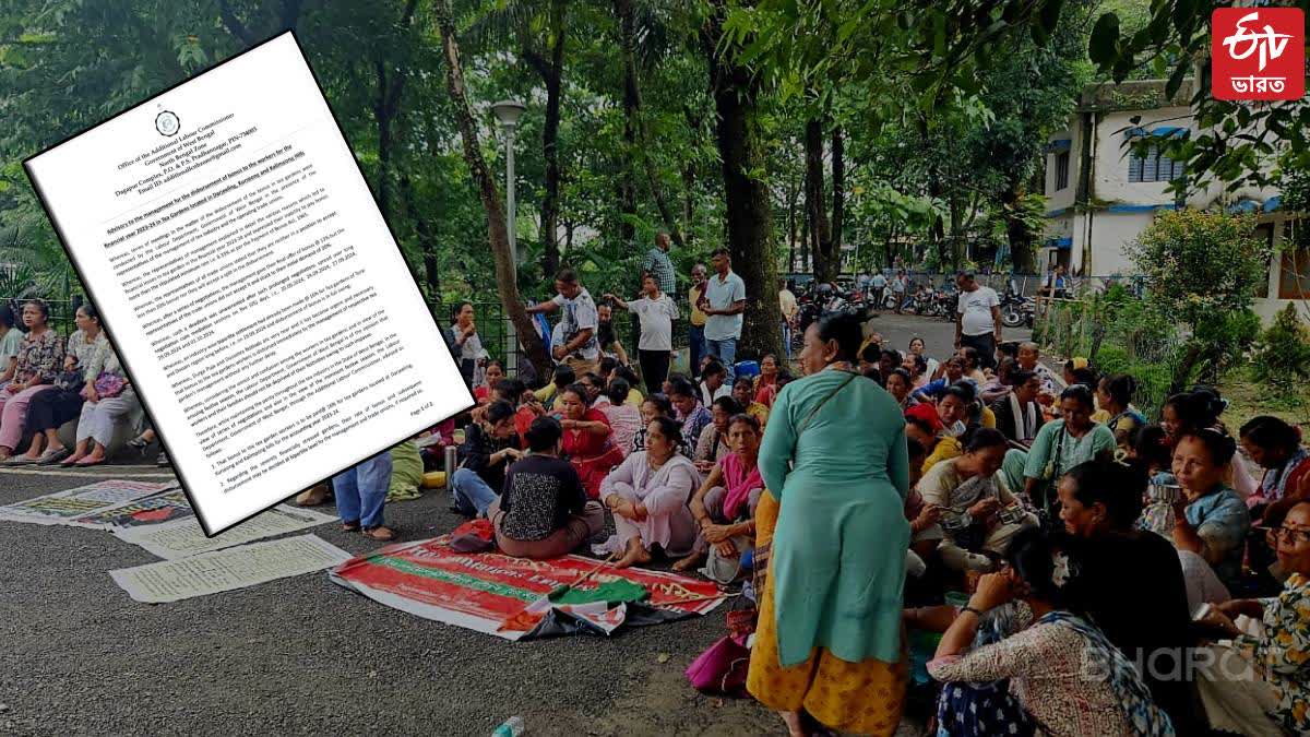 ETV Bharat Live Updates