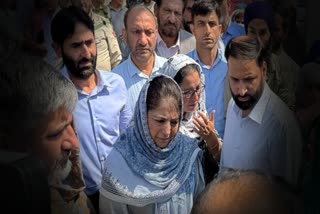 محبوبہ مفتی نے کیا سرینگر کے کئی علاقوں کا دورہ