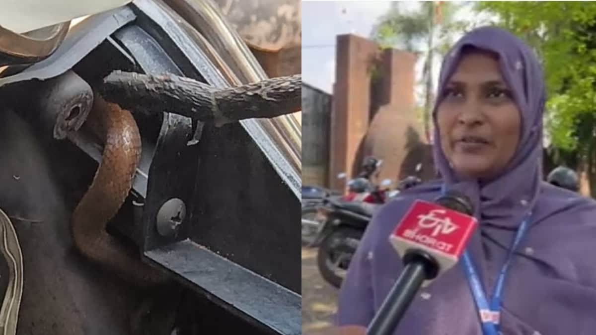 Woman Travel with Snake