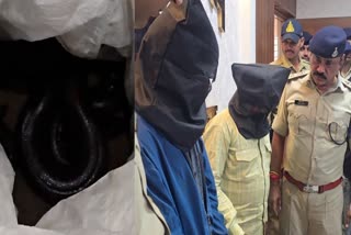 ASHOKNAGAR SNAKE SMUGGLER ARREST