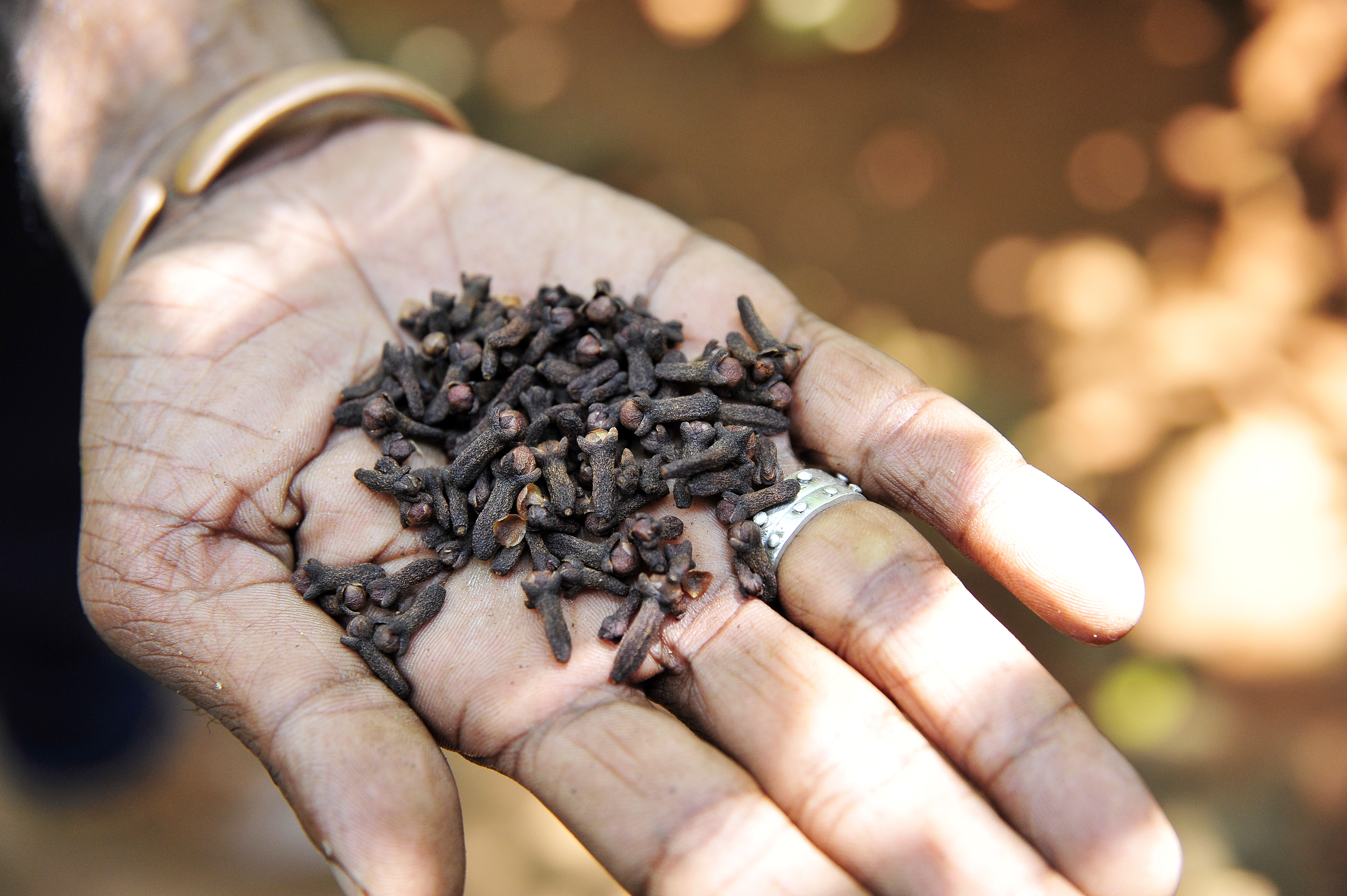 CLOVES BENEFITS  CLOVE WATER BENEFITS  HEALTH BENEFITS OF CLOVE WATER  ಲವಂಗದ ನೀರಿನ ಆರೋಗ್ಯ ಪ್ರಯೋಜನಗಳು