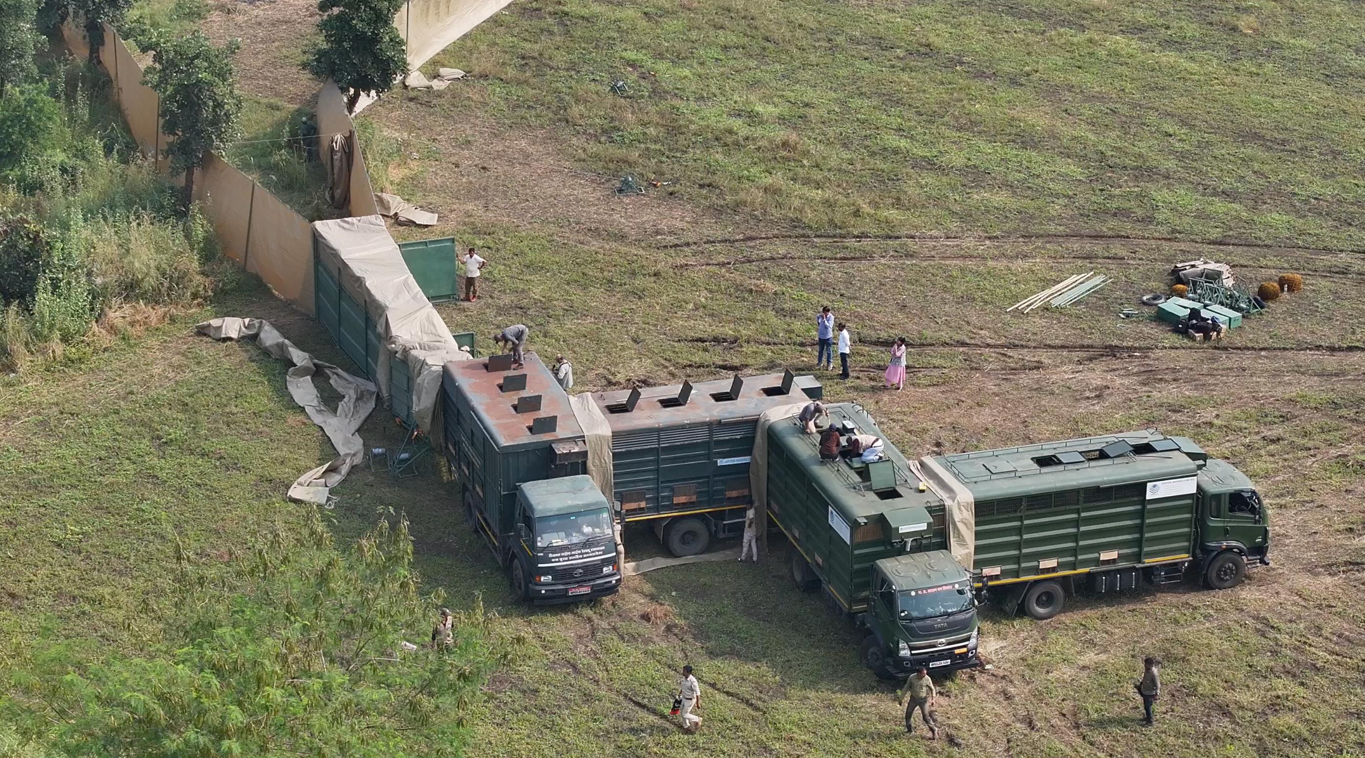 blackbucks rescue shajapur