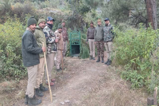 Forest Department Identifies 800 Danger Zones Of Man Animal Conflict In Uttarakhand