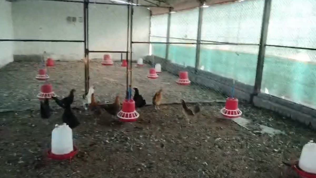 NEW YEAR PARTY DHAMTARI