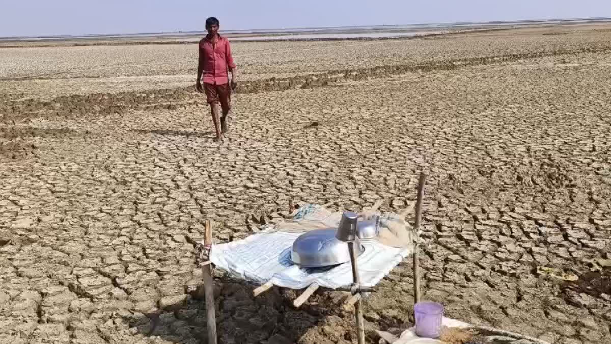 સુરેન્દ્રનગરના રણમાં અગરિયાઓના પ્રશ્નોને લઈ ખેડૂત હિત રક્ષક સમિતિ સરકાર સામે આપશે લડત