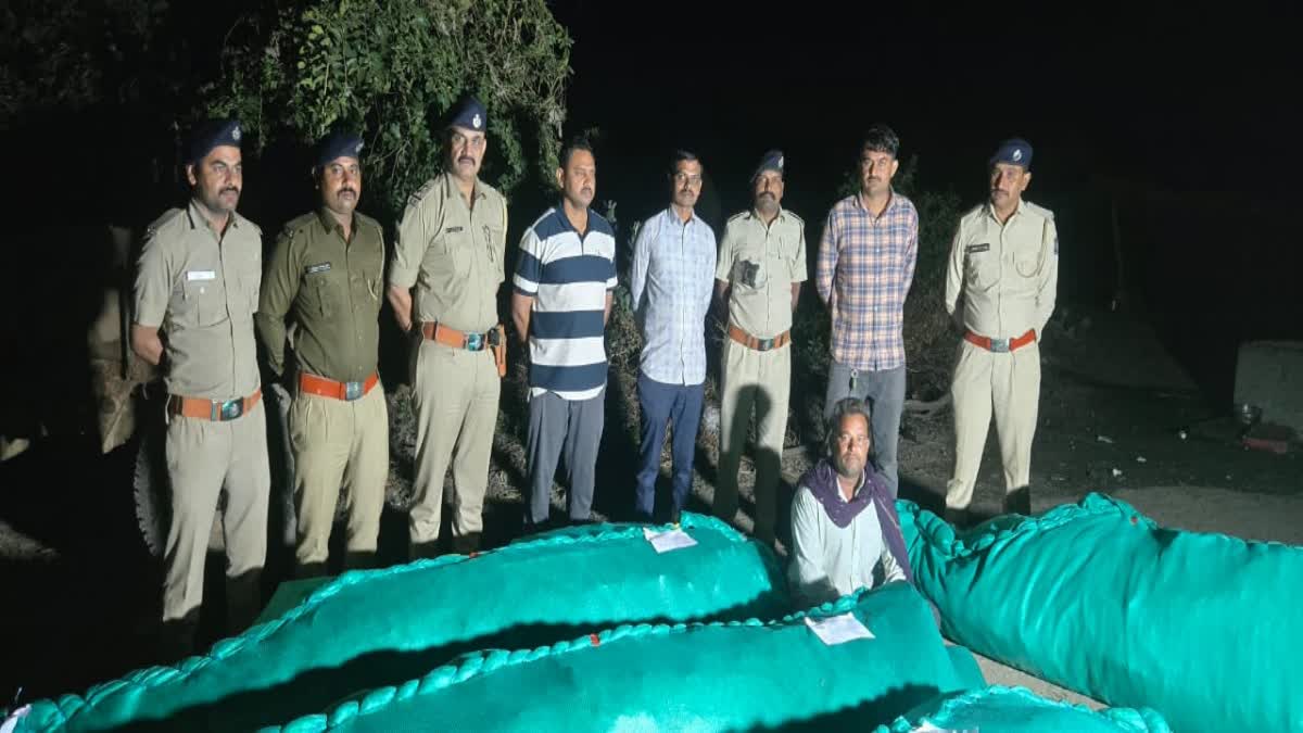 Marijuana cultivation racket