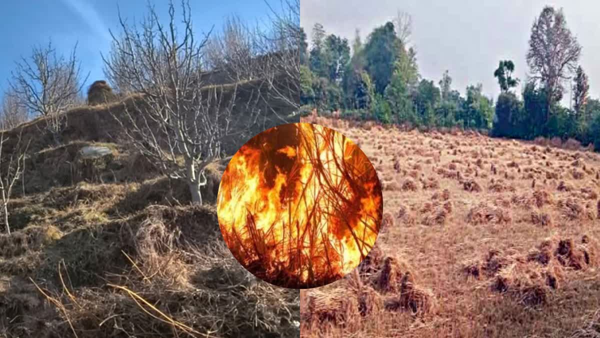 AGRICULTURAL WASTE BURNING BAN