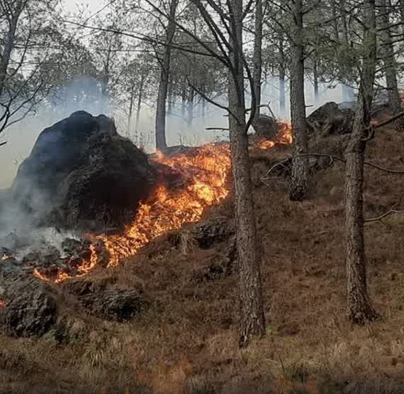Uttarakhand Forest Fire