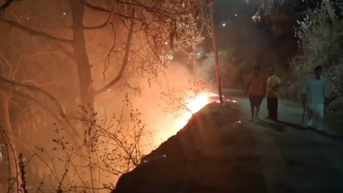 Uttarakhand Forest Fire