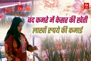 लाखों की कमाई