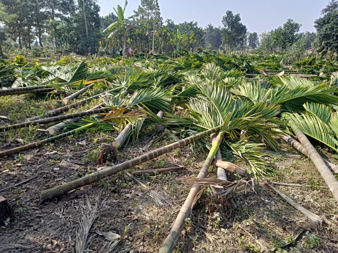 Eviction drive carried out in Hojai district at the beginning of the new year