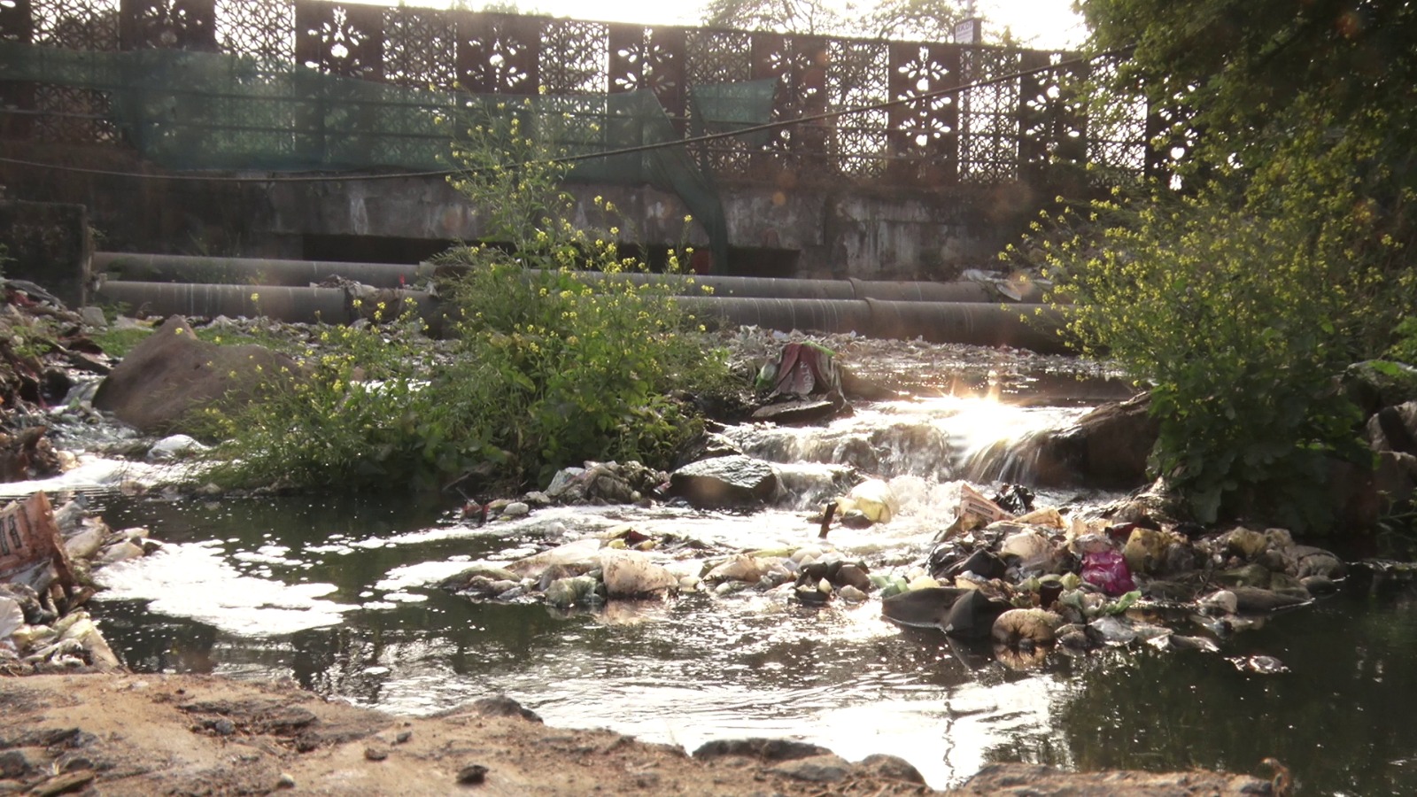 clean water supply problem MP