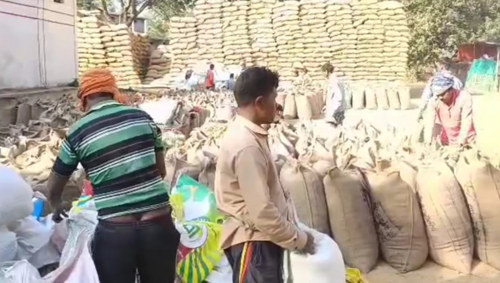 Surguja paddy purchase