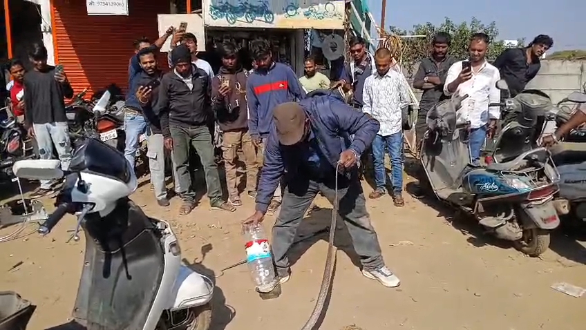 COBRA TRAVELED 3 KM IN SCOOTER