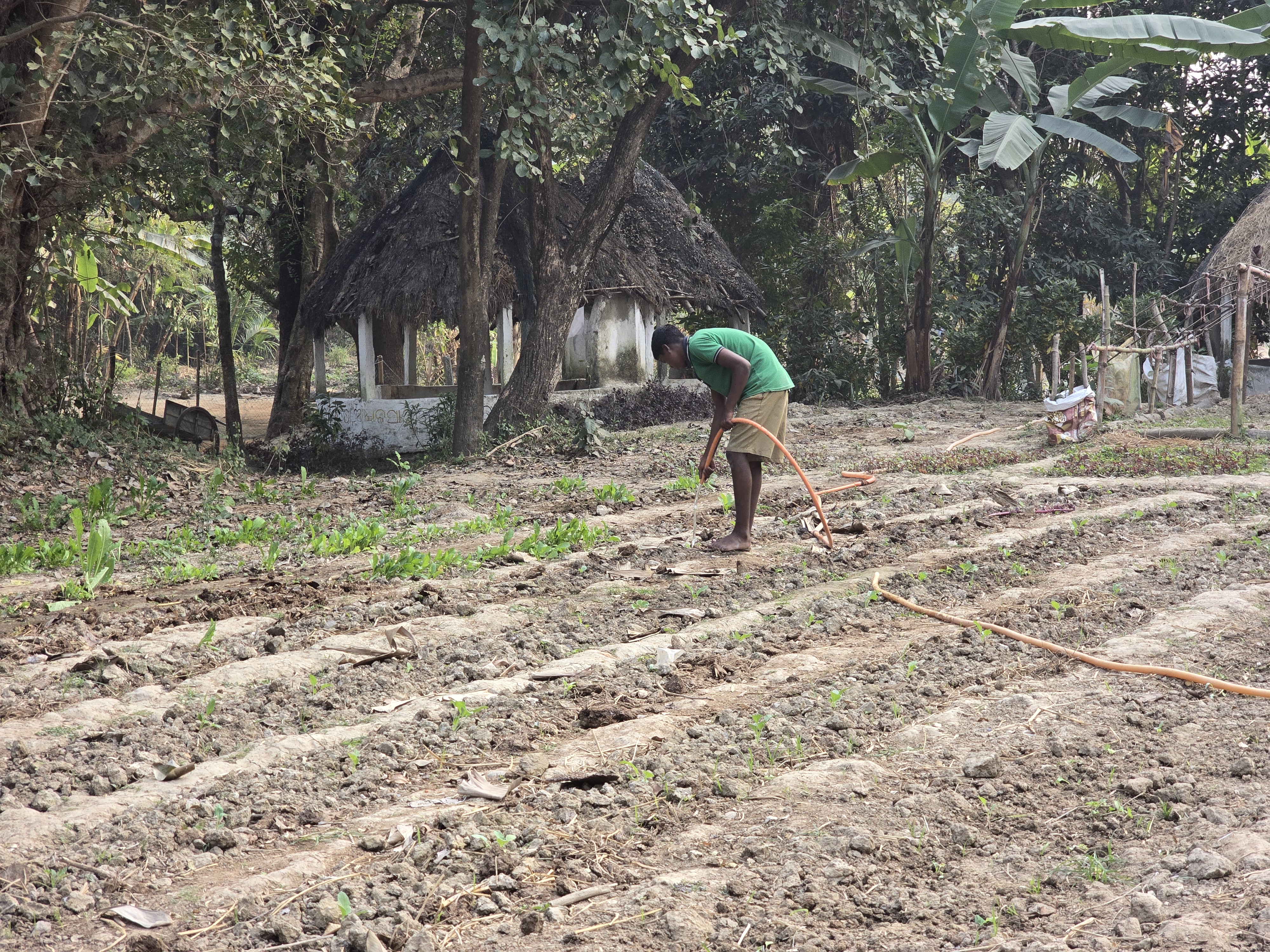 A student tenders saplings in the garden at the premises of Vivek Bharati Sevasharam.