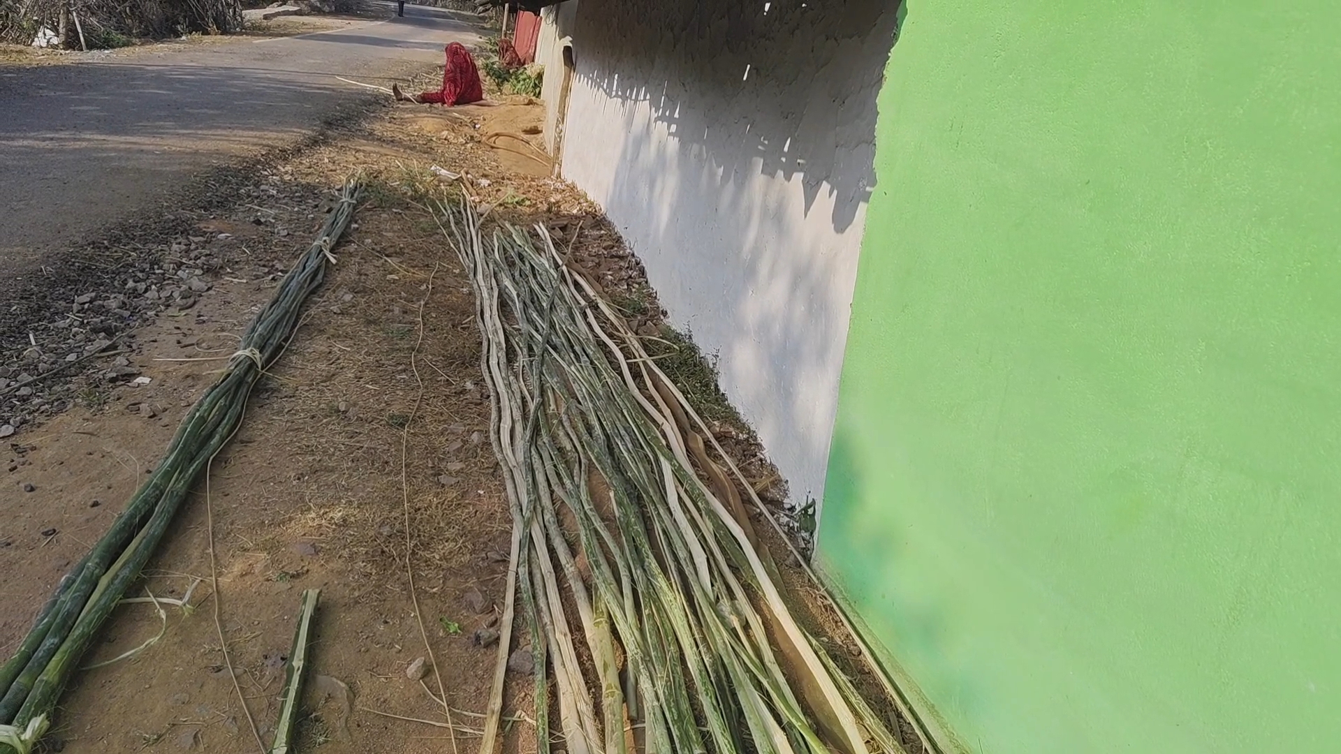 mp Rural Livelihood problems