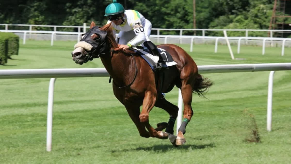 Indian Derby Day 2025 - Celebrating Horse Racing At Mahalaxmi Race Course In Mumbai Indian Derby Day 2025 - Celebrating Horse Racing At Mahalaxmi Race Course In Mumbai