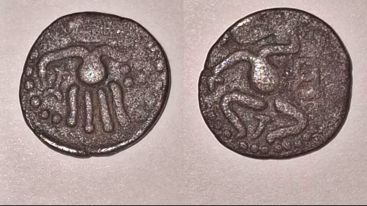 400-year-old Copper Coin Issued By Venadu Chera Kings Discovered In  Sivagangai
