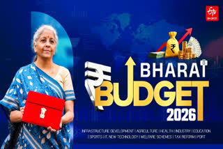 MACRO OUTLOOK  UNION BUDGET 2026  GOLDMAN SACHS  NIRMALA SITARAMAN