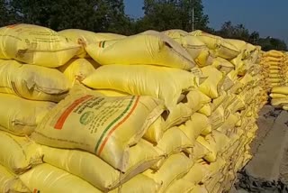 હવેથી સલ્ફર કોટેડ યુરિયા 40 કિલોની બોરીમાં ખેડૂતોને મળશે, વજનમાં ઘટાડો થતાં ખેડૂતોમાં રોષ