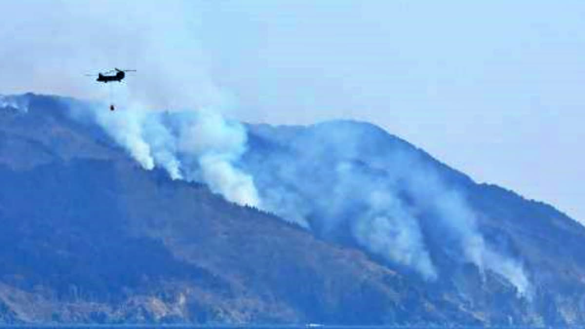 Japan's biggest wildfire in decades