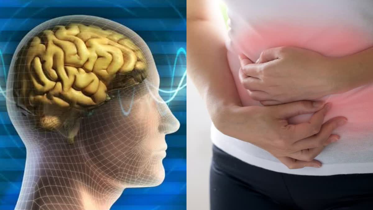 معدے کو دوسرا دماغ کیوں کہا جاتا ہے؟ دماغی صحت اور آنت کے درمیان مضبوط تعلق کے بارے میں جانیں۔