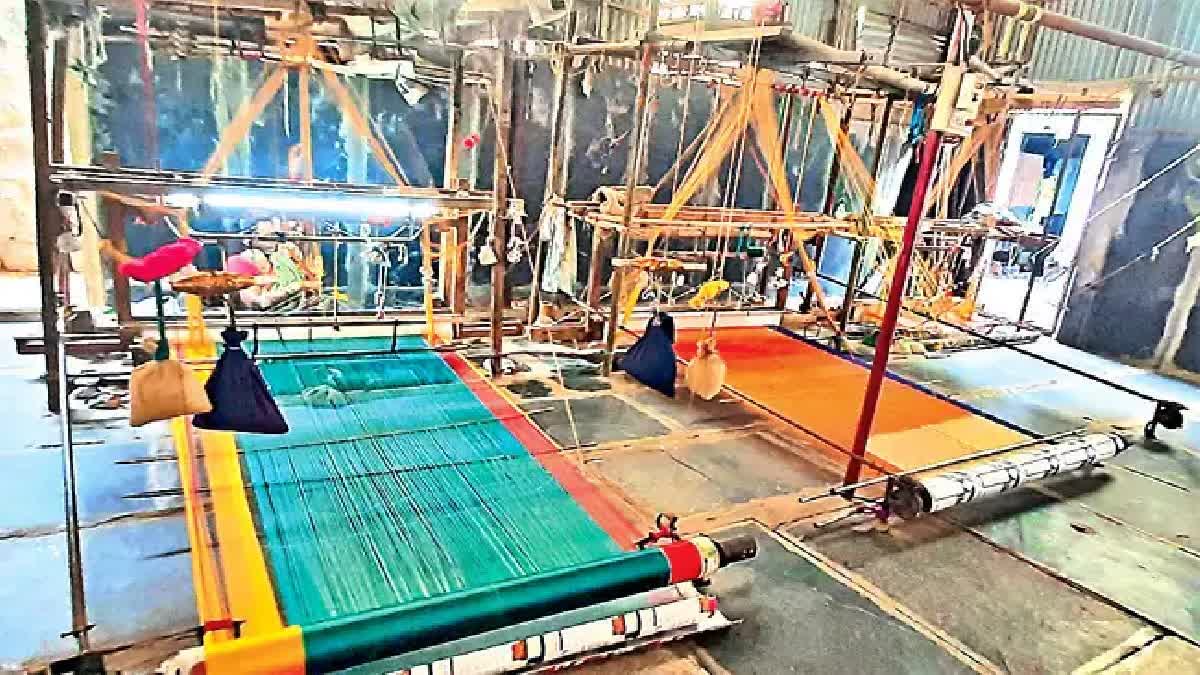 Most Women Earn Their Livelihood in Handloom Weaving Sector After Agriculture