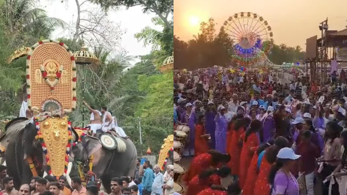 പൂരം  ചിനക്കത്തൂർ പൂരം പാലക്കാട്  ചിനക്കത്തൂർ പൂരം  പാലക്കാട്