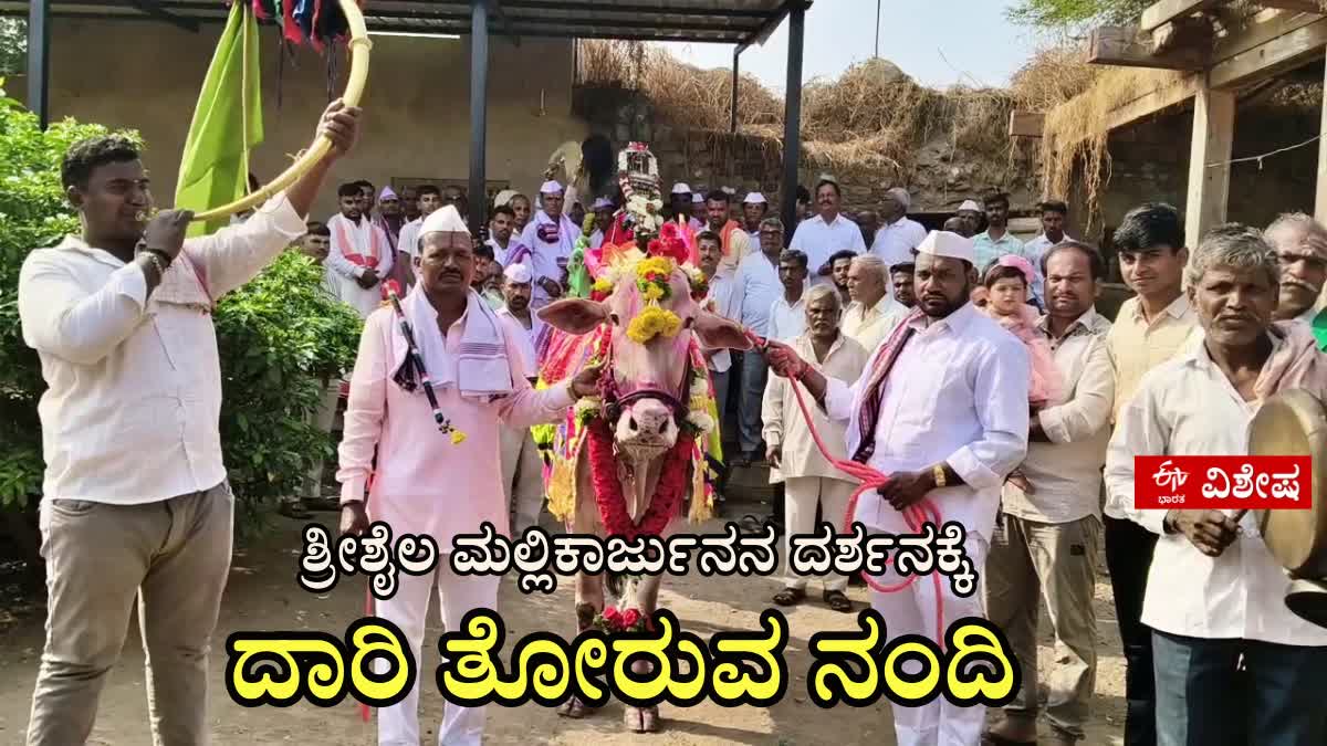 nandi-showing-the-way-to-the-darshan-of-sri-shaila-mallikarjuna