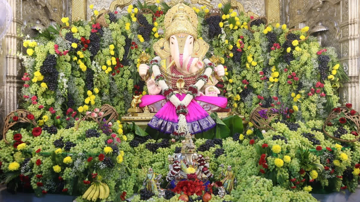 Rich Dagdusheth Halwai offers 2,000 kg of grapes to Lord Ganesha