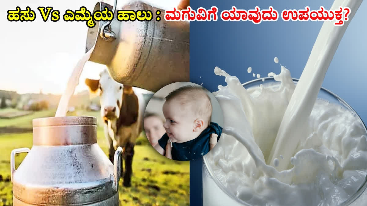 Benefits of Cow Milk  Benefits of Buffalo Milk  Which Milk is Best for babies  ಹಸುವಿನ ಹಾಲು Vs ಎಮ್ಮೆಯ ಹಾಲುBenefits of Cow Milk  Benefits of Buffalo Milk  Which Milk is Best for babies  ಹಸುವಿನ ಹಾಲು Vs ಎಮ್ಮೆಯ ಹಾಲು
