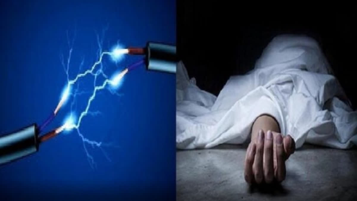 High Tension Wire Death