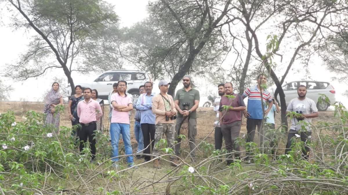 BIRD WATCHING CENTERS