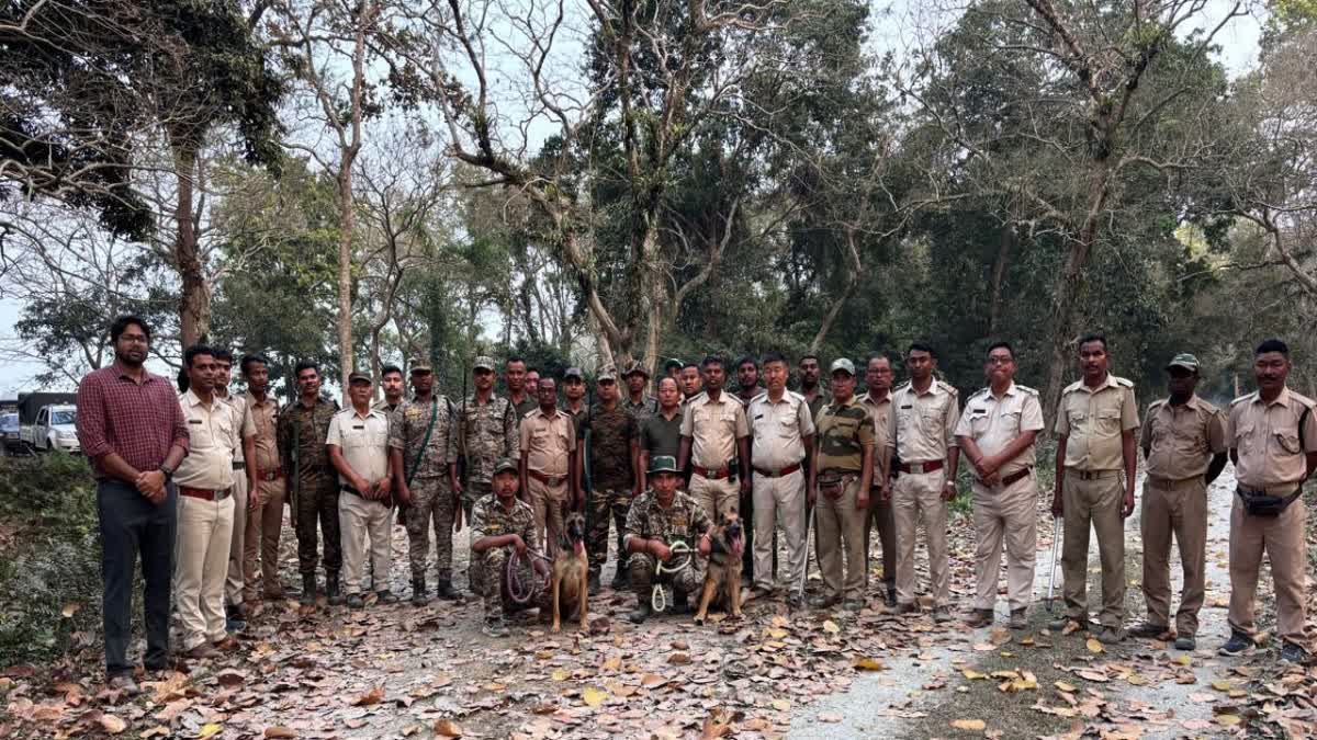 High alert in North Bengal forests
