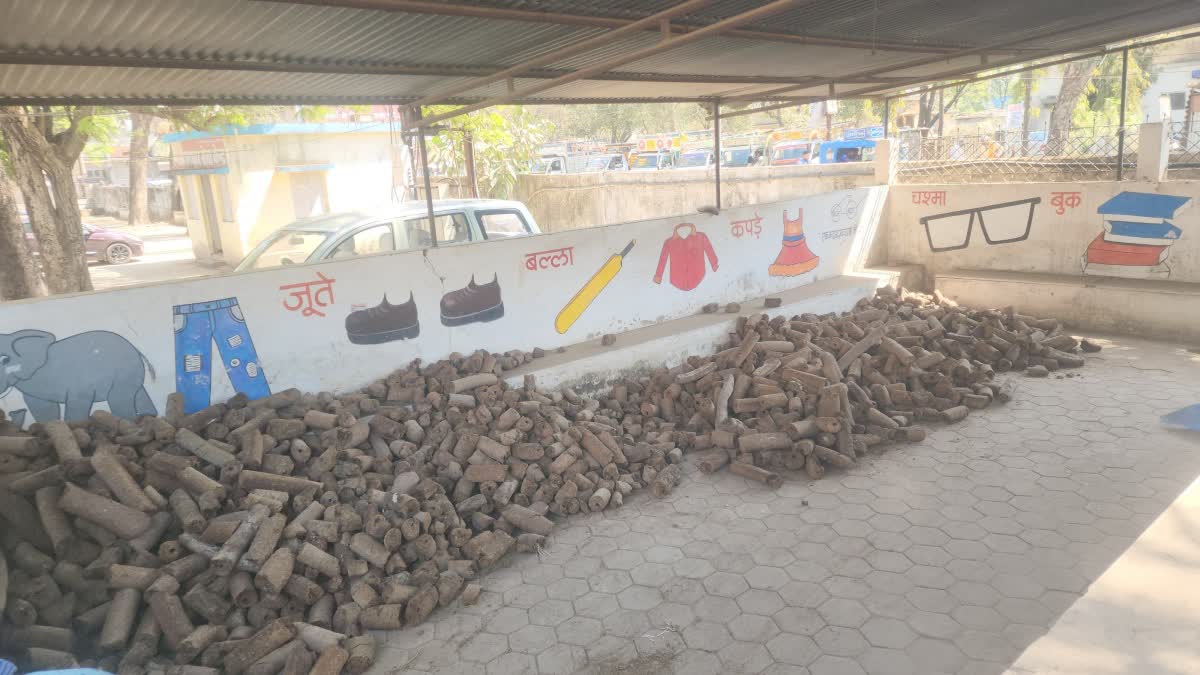 COW DUNG WOOD HOLIKA DAHAN