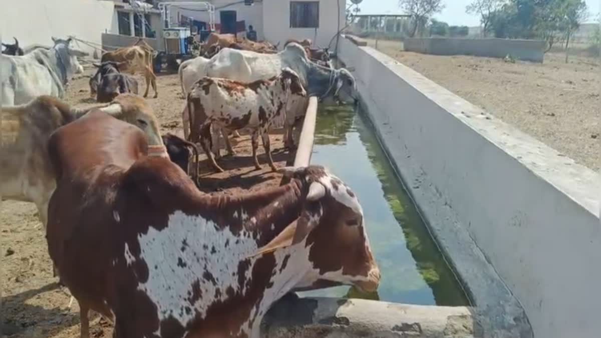 BARWANI WATER CRISIS