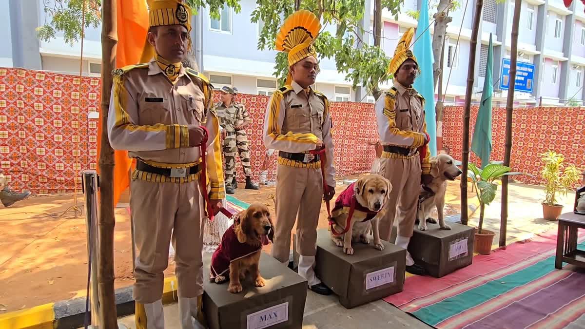 ஓய்வு பெற்ற மோப்ப நாய்கள்