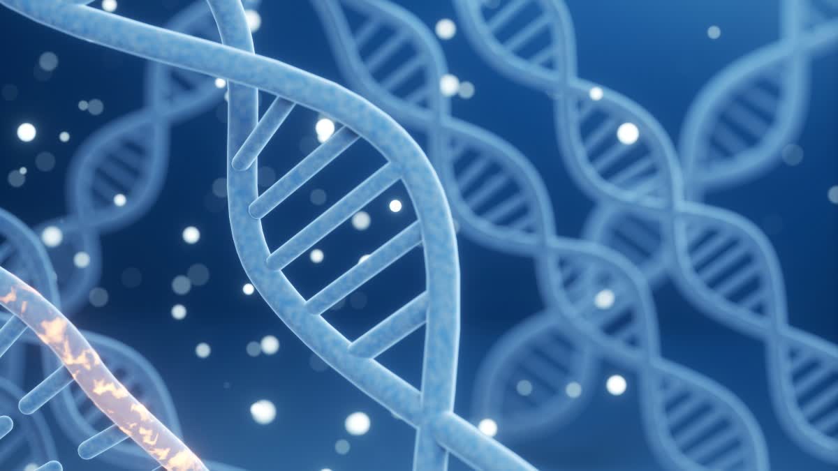 സ്‌തനാർബുദം ജനിതക പരിശോധന  ഐഐടി മദ്രാസ് സ്തനാർബുദ ഗവേഷണം  ഐഐടി ചെന്നൈ  സ്തനാർബുദം