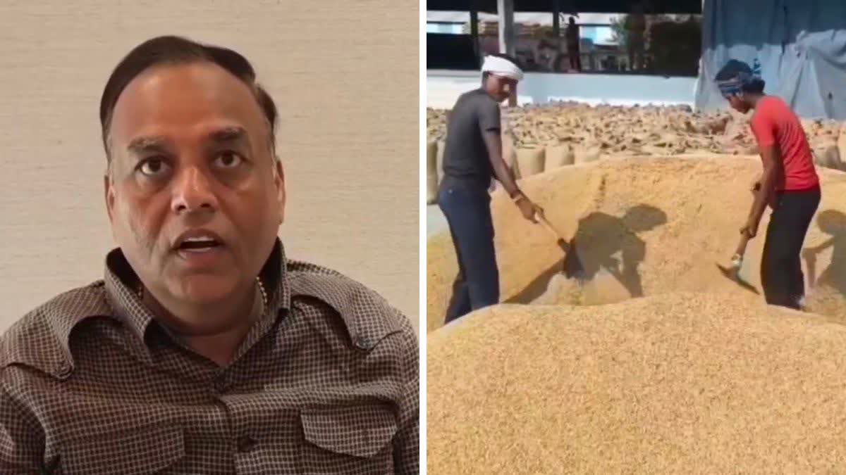 Haryana rice exporters problems